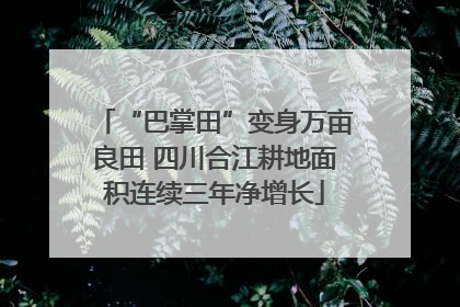 “巴掌田”变身万亩良田 四川合江耕地面积连续三年净增长