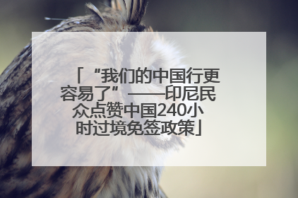 “我们的中国行更容易了”——印尼民众点赞中国240小时过境免签政策
