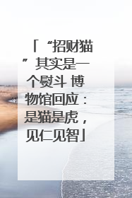 “招财猫”其实是一个熨斗 博物馆回应：是猫是虎，见仁见智
