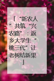 “新农人”共筑“兴农路”：返乡大学生“桃三代”让老树结新果