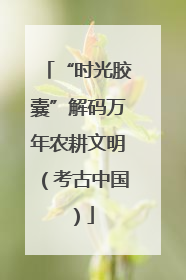 “时光胶囊”解码万年农耕文明（考古中国）