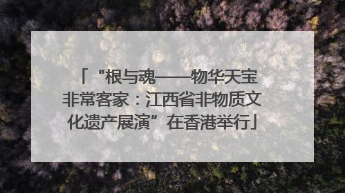 “根与魂——物华天宝 非常客家：江西省非物质文化遗产展演”在香港举行