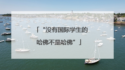 “没有国际学生的哈佛不是哈佛”
