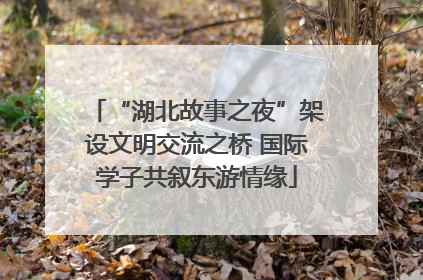“湖北故事之夜”架设文明交流之桥 国际学子共叙东游情缘