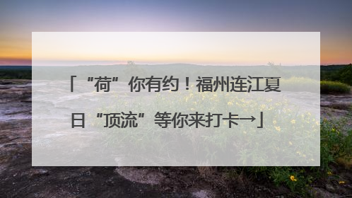 “荷”你有约！福州连江夏日“顶流”等你来打卡→