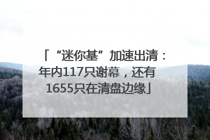 “迷你基”加速出清：年内117只谢幕，还有1655只在清盘边缘