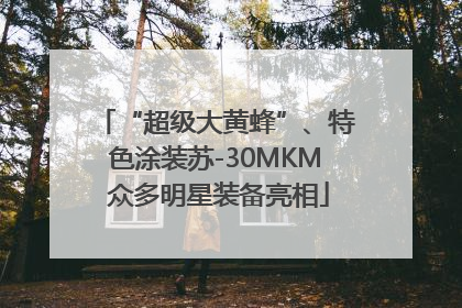 “超级大黄蜂”、特色涂装苏-30MKM 众多明星装备亮相