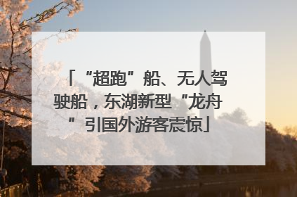 “超跑”船、无人驾驶船，东湖新型“龙舟”引国外游客震惊