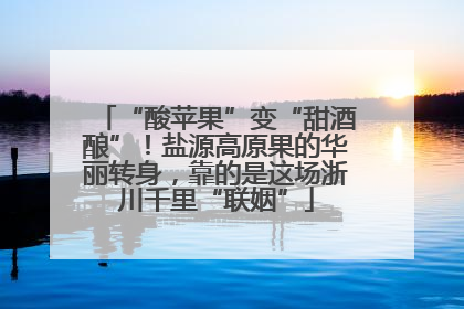 “酸苹果”变“甜酒酿”！盐源高原果的华丽转身，靠的是这场浙川千里“联姻”