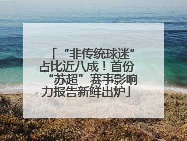 “非传统球迷”占比近八成！首份“苏超”赛事影响力报告新鲜出炉