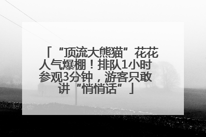 “顶流大熊猫”花花人气爆棚！排队1小时参观3分钟，游客只敢讲“悄悄话”