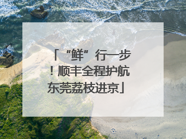 “鲜”行一步！顺丰全程护航东莞荔枝进京