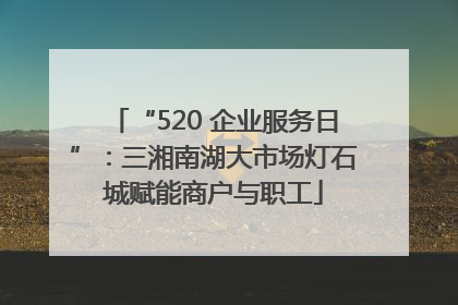 “520 企业服务日”：三湘南湖大市场灯石城赋能商户与职工
