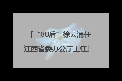 “80后”徐云涌任江西省委办公厅主任