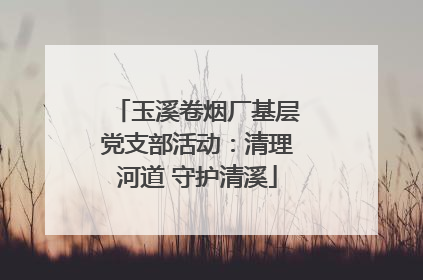 玉溪卷烟厂基层党支部活动：清理河道 守护清溪