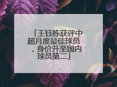 王钰栋获评中超月度最佳球员，身价升至国内球员第二