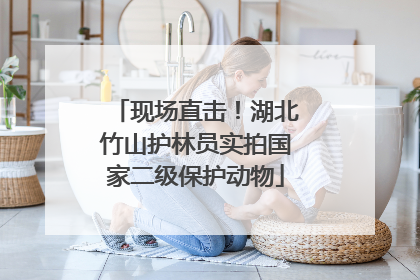 现场直击！湖北竹山护林员实拍国家二级保护动物