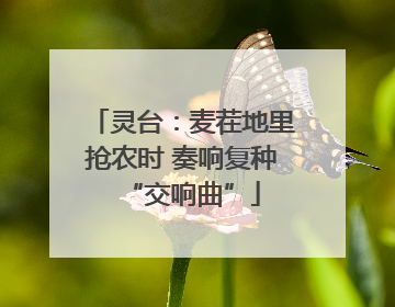 灵台：麦茬地里抢农时 奏响复种“交响曲”