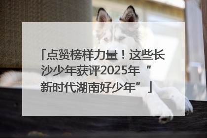 点赞榜样力量！这些长沙少年获评2025年“新时代湖南好少年”