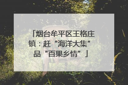 烟台牟平区王格庄镇：赶“海洋大集” 品“百果乡情”