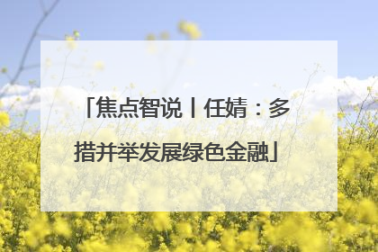 焦点智说丨任婧：多措并举发展绿色金融