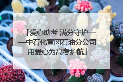 爱心助考 满分守护——中石化黄冈石油分公司用爱心为高考护航