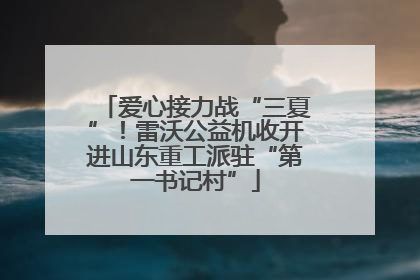 爱心接力战“三夏”！雷沃公益机收开进山东重工派驻“第一书记村”