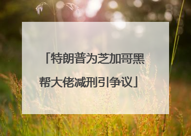 特朗普为芝加哥黑帮大佬减刑引争议