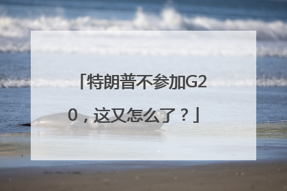 特朗普不参加G20，这又怎么了？