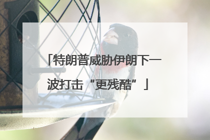特朗普威胁伊朗下一波打击“更残酷”