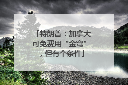 特朗普：加拿大可免费用“金穹”，但有个条件