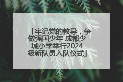 牢记党的教导，争做强国少年 成都少城小学举行2024级新队员入队仪式
