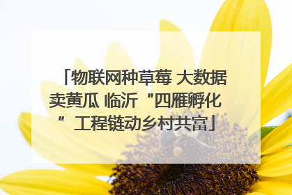 物联网种草莓 大数据卖黄瓜 临沂“四雁孵化”工程链动乡村共富
