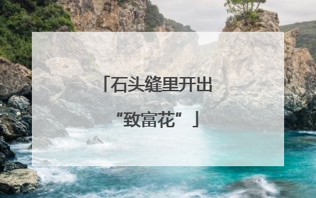 石头缝里开出“致富花”