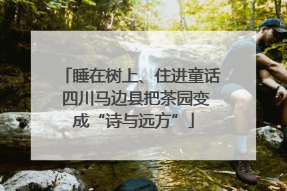 睡在树上、住进童话 四川马边县把茶园变成“诗与远方”
