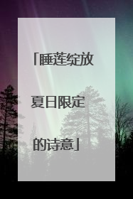 睡莲绽放 夏日限定的诗意