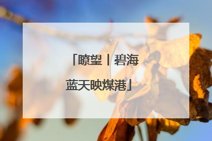 瞭望丨碧海蓝天映煤港