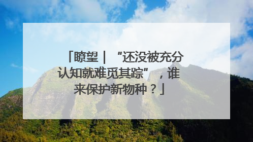 瞭望｜“还没被充分认知就难觅其踪”，谁来保护新物种？