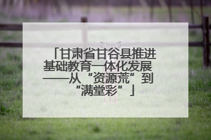 甘肃省甘谷县推进基础教育一体化发展——从“资源荒”到“满堂彩”