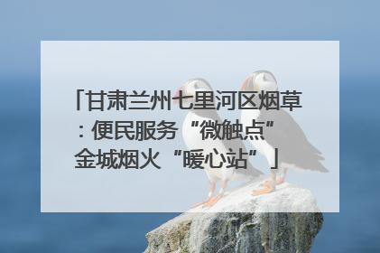 甘肃兰州七里河区烟草：便民服务“微触点” 金城烟火“暖心站”