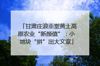 甘肃庄浪重塑黄土高原农业“新颜值”：小地块“拼”出大文章