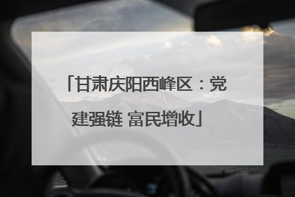 甘肃庆阳西峰区：党建强链 富民增收