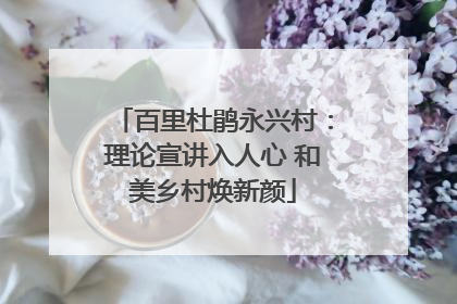 百里杜鹃永兴村：理论宣讲入人心 和美乡村焕新颜
