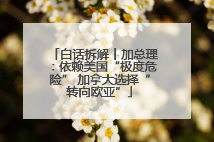 白话拆解丨加总理：依赖美国“极度危险” 加拿大选择“转向欧亚”