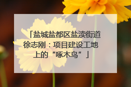 盐城盐都区盐渎街道徐志刚：项目建设工地上的“啄木鸟”