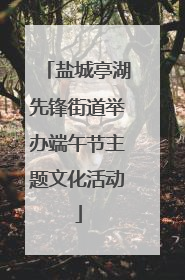 盐城亭湖先锋街道举办端午节主题文化活动