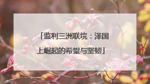 监利三洲联垸：泽国上崛起的希望与坚韧