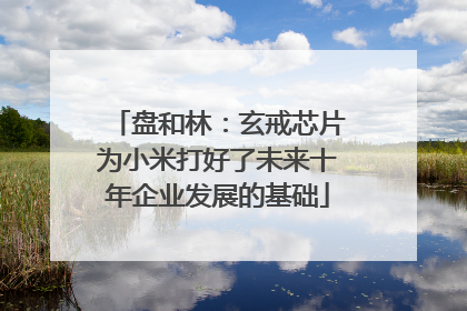 盘和林：玄戒芯片为小米打好了未来十年企业发展的基础