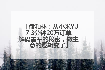 盘和林：从小米YU7 3分钟20万订单解码雷军的秘密，做生意的逻辑变了