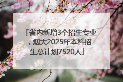 省内新增3个招生专业，烟大2025年本科招生总计划7520人